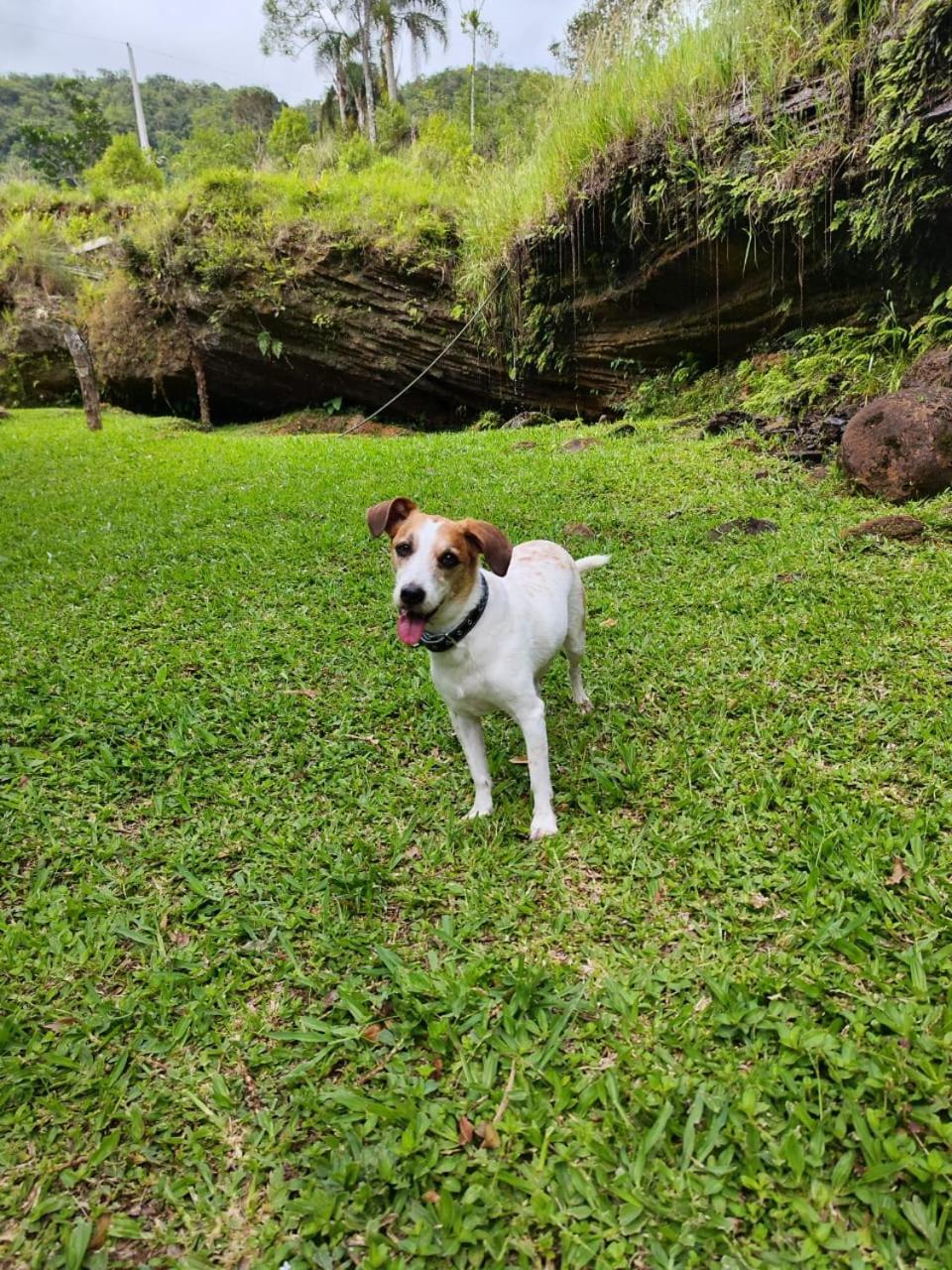 Chalé 1 Morada da pedra Praia Grande  Esterno foto
